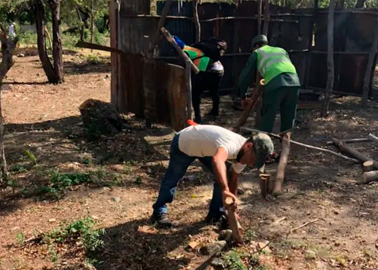 Desalojan más de 300 familias ocupaban terrenos de forma ...