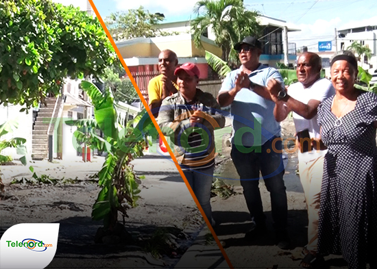 Colocan árboles de plátano en calle de SFM en protesta por avería