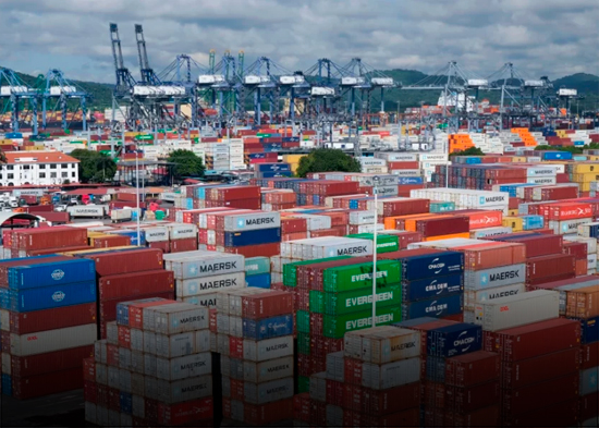 Economía global crecerá 3,2% pese a aranceles de Trump, según la OCDE