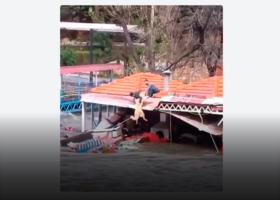 VIDEO: Dramático rescate de un perro colgado de un techo durante fuertes inundaciones