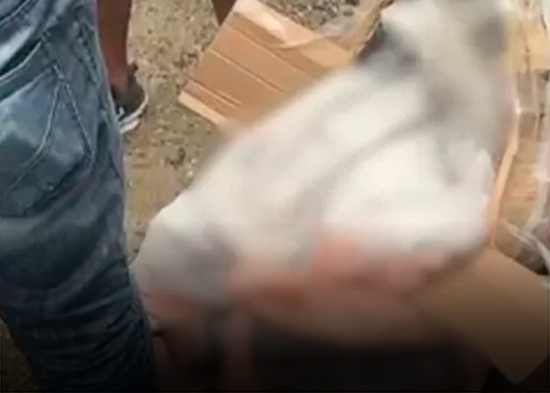 Encuentran a una mujer sin vida dentro de caja de cartón en San Cristóbal