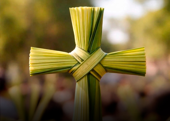 Con fe y tradición, fieles celebran el Domingo de Ramos