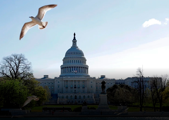 Cámara de Representantes de Estados Unidos avalan proyecto que apoya a los haitianos