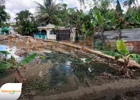 Residentes siembran matas de plátano en protesta por mal estado de calles en Los Espínola