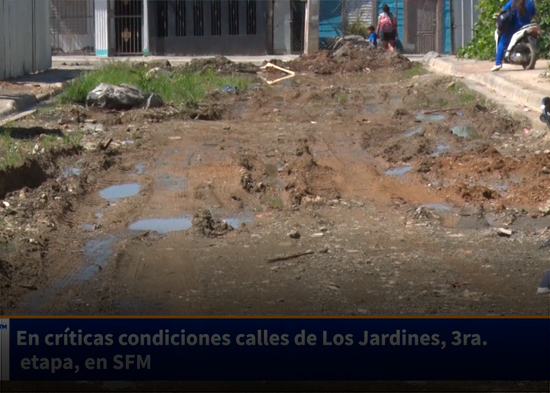 En críticas condiciones calles de Los Jardines, 3r etapa, en SFM