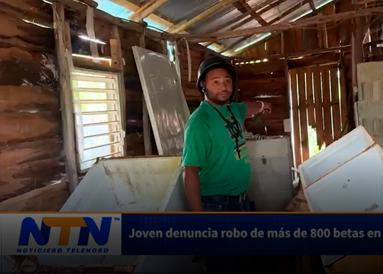 Joven denuncia robo de más de 800 betas en SFM