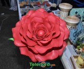 WhatsApp Image 2023 02 23 at 8.16.23 AM