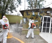 WhatsApp Image 2020 04 12 at 3.38.48 PM  3 