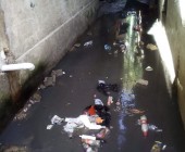 WhatsApp Image 2020 06 07 at 10.20.24 PM  4 