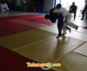 telenord00040