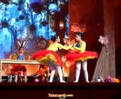 telenord842