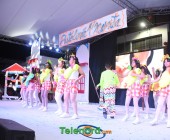 telenord413 telenord413