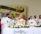telenord00350 telenord00350