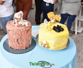 telenord037 telenord037