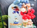 imagen00244