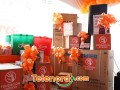 imagen00018