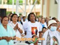 imagen00174