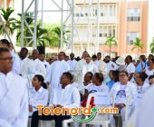 imagen00247