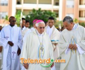 imagen00261