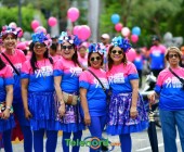 telenord059 telenord059