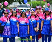 telenord062 telenord062