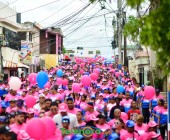 telenord1074 telenord1074