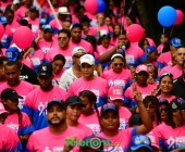 telenord1244 telenord1244