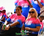 telenord1466 telenord1466