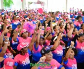 telenord1642 telenord1642