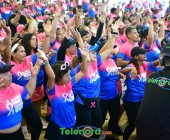 telenord1662 telenord1662