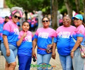 telenord179 telenord179