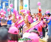 telenord278 telenord278