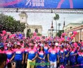 telenord453 telenord453