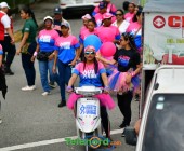 telenord508 telenord508