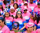 telenord636 telenord636