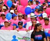 telenord692 telenord692