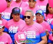 telenord736 telenord736