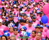 telenord763 telenord763