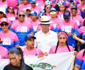 telenord831 telenord831