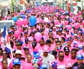 telenord850 telenord850