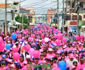 telenord897 telenord897