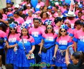 telenord933 telenord933