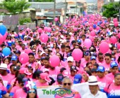 telenord935 telenord935