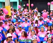 telenord960 telenord960