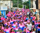 telenord979 telenord979