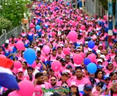 telenord987 telenord987