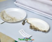 telenord067 telenord067