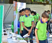 telenord00176 telenord00176