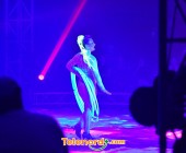 telenord1100 telenord1100