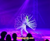 telenord1169 telenord1169